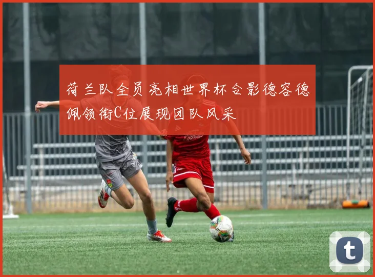 荷兰队全员亮相世界杯合影德容德佩领衔C位展现团队风采