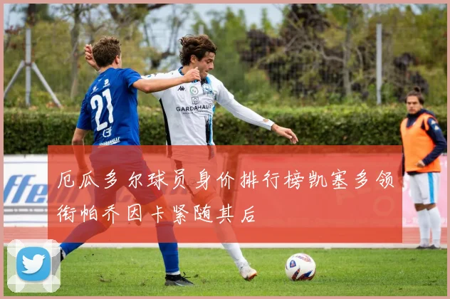 厄瓜多尔球员身价排行榜凯塞多领衔帕乔因卡紧随其后